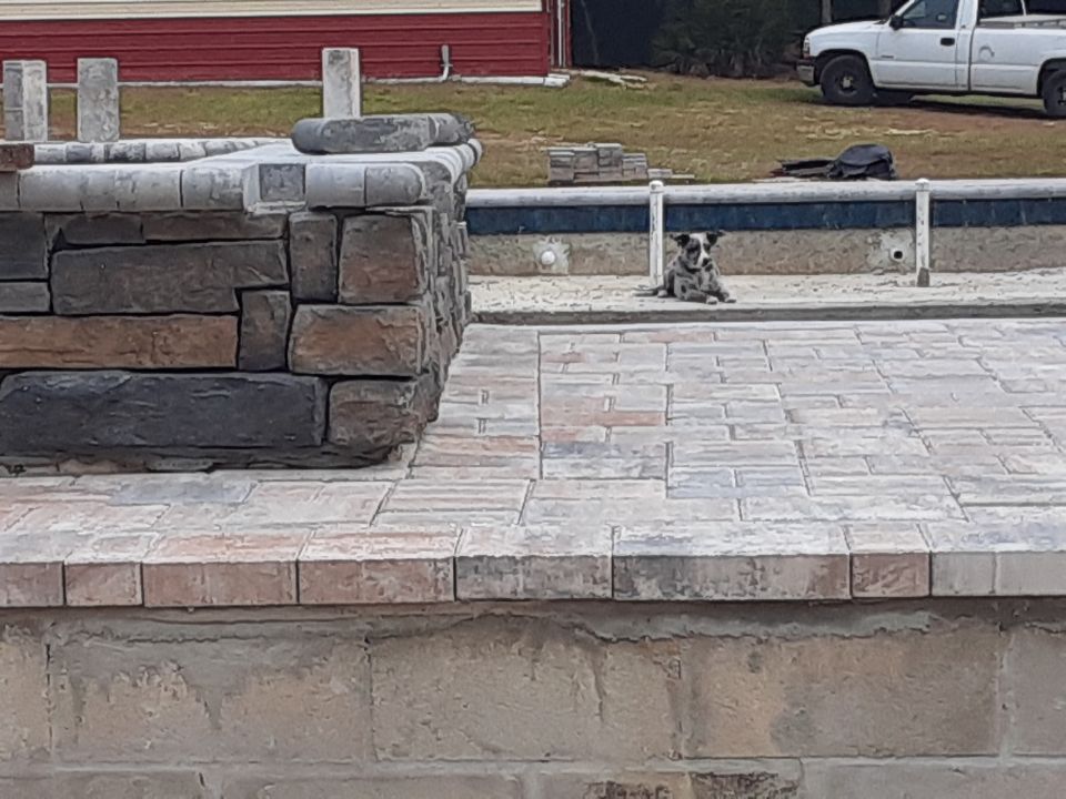 Attention to detail. Your pavers can look this bad too. Give us a call.